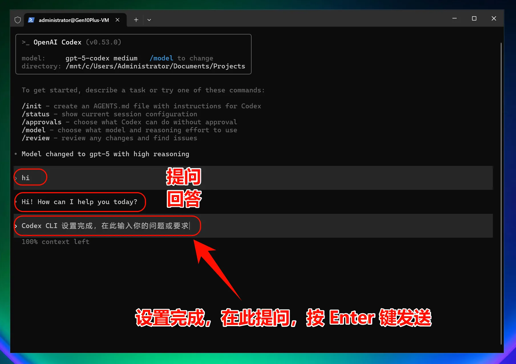 OpenAI Codex CLI | New API