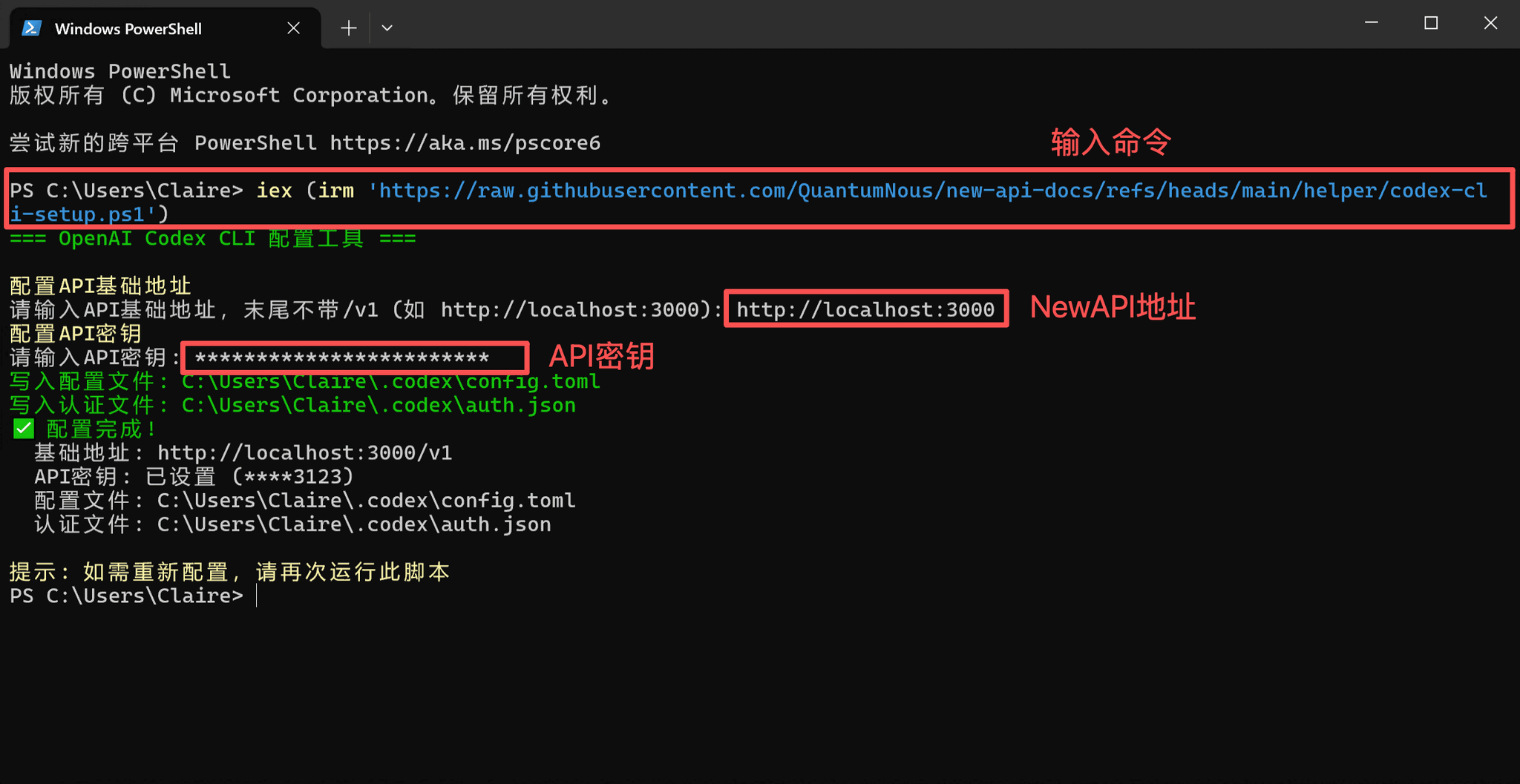 OpenAI Codex CLI | New API